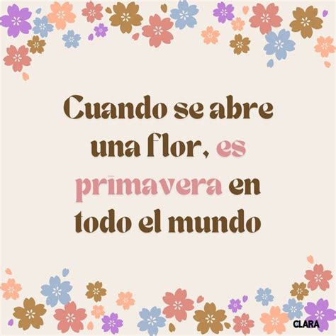 gracioso frases de primavera|55 Frases de primavera cortas .